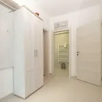 Ana 1707 *